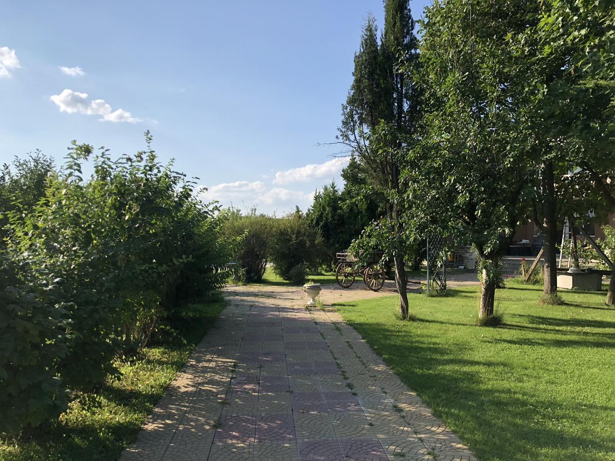 فندق Galeria In The Garden بلوفديف المظهر الخارجي الصورة